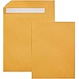 鶹Basics Catalog Mailing Envelopes, Peel & Seal, 10x13 Inch, Brown Kraft, 100-Pack