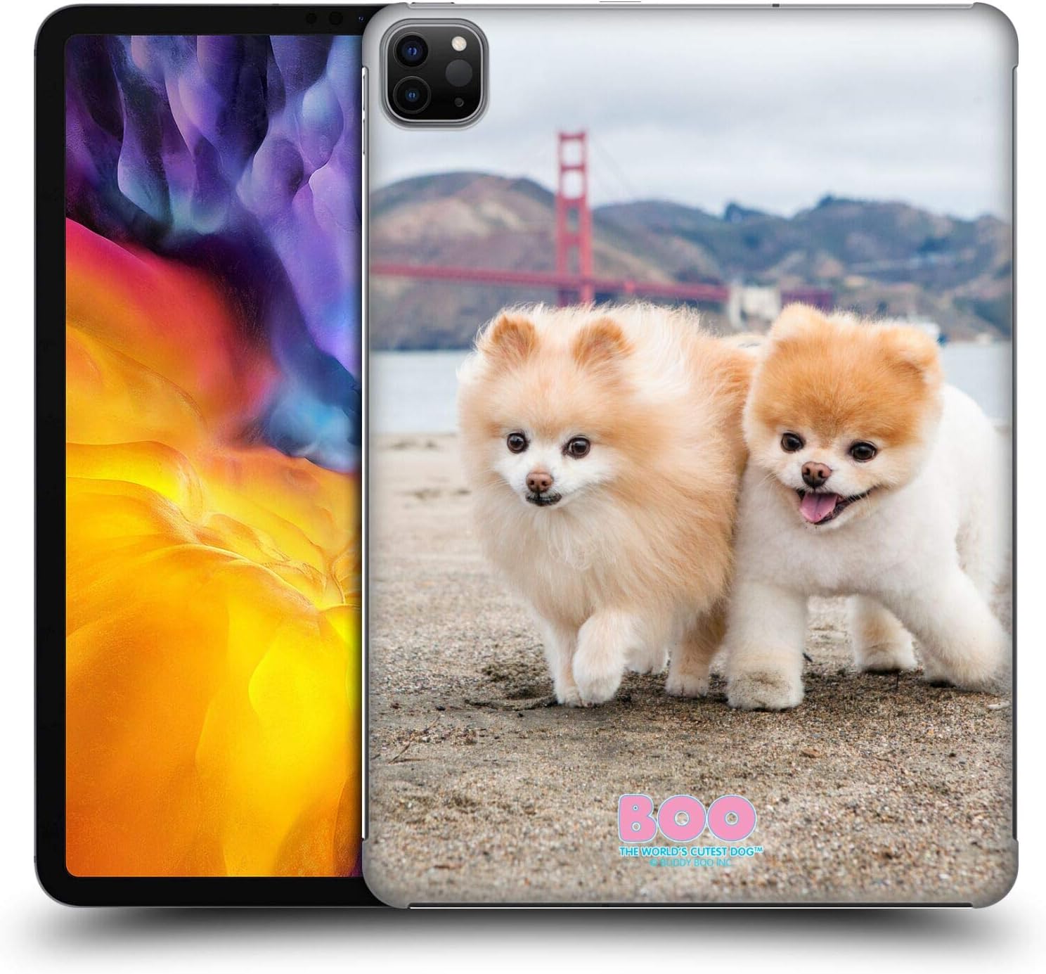 cutest puppy in the world boo