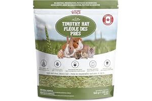 Living World Timothy Hay, 20-Ounce