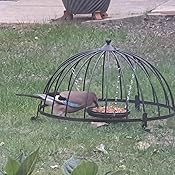 ground feeder cage for small birds