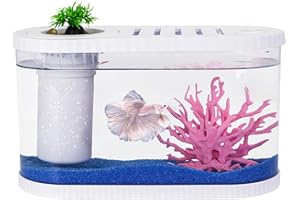 HSIFMATE 2.2 Gallon Fish Tank Kits,Small Aquarium Starter Kit,Nano Desktop Tank with Quiet Filter, Lid,Color-Changing Light&Decor for Betta Shrimp Guppy Jellyfish Goldfish Beta(12.6 * 7 * 5.6 Inch)