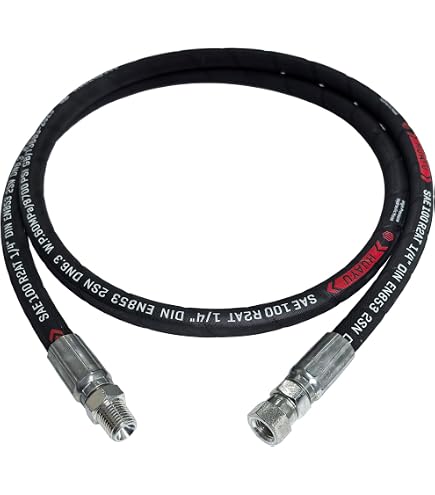 Hydraulic Hose 1/4" X 120" With Male NPT Ends - 2 Wire Braid, SAE 100R2AT-4, Industrial Grade
