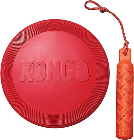 kong frisbee amazon