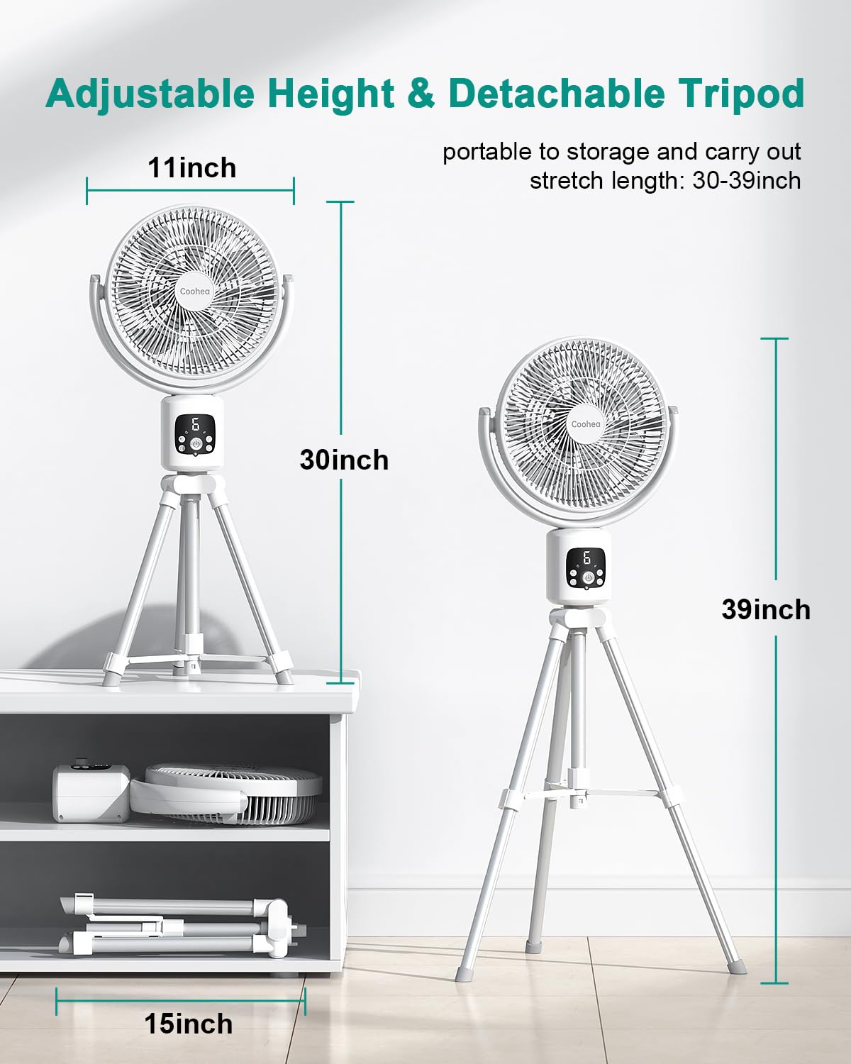 Oscillating Fan 11