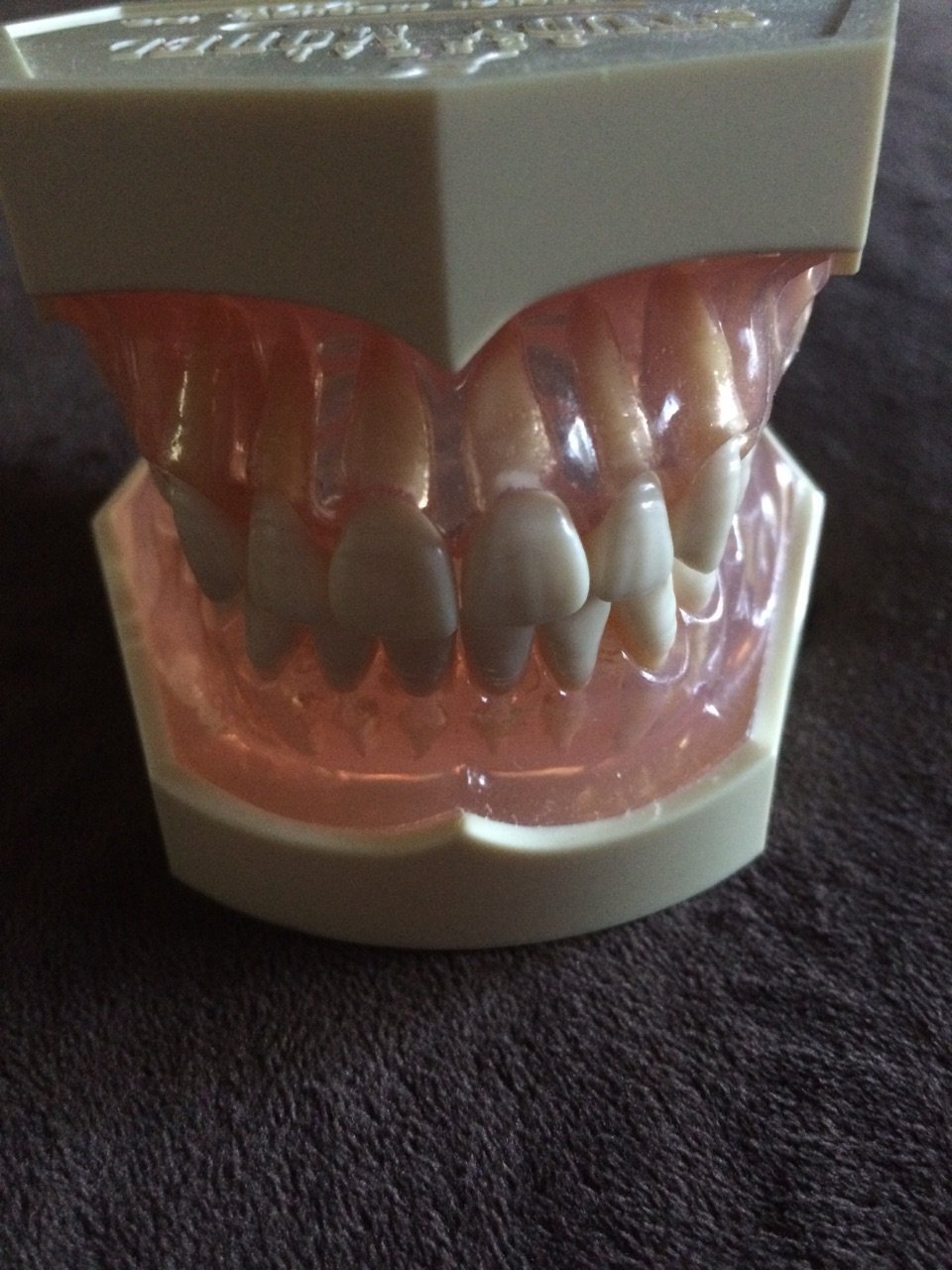 Nissin Kilgore Dental Model Industrial & Scientific