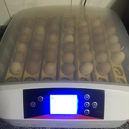 Ridgeyard 56 Huevos Incubadora Hatcher Control de temperatura ...