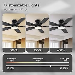 SUNMORY 42" Ceiling Fans with Lights and Remote/APP