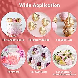 Luster Dust Edible Set - 4 Colors Food Grade