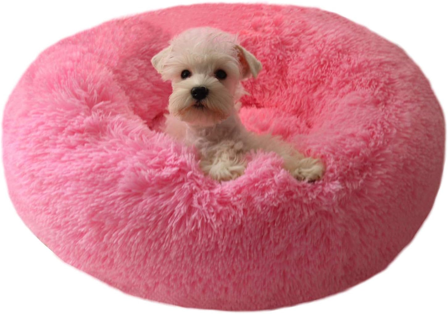 BODISEINT Modern Soft Plush Round Pet Bed for Cats or Small Dogs, Mini Medium Sized Dog Cat Bed Self Warming Autumn Winter Indoor Snooze Sleeping Cozy Kitty Teddy Kennel (M(23.6”Dx7.9 H), Champagne) : Pet Supplies