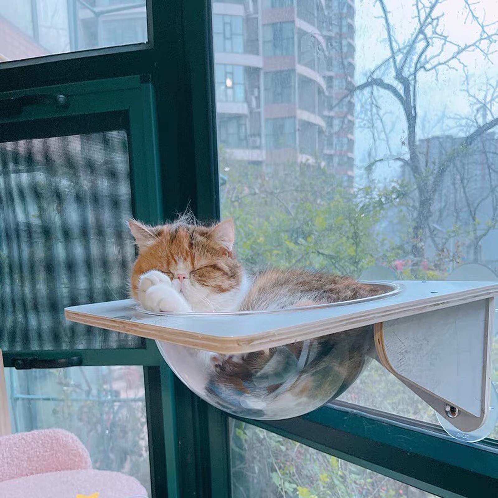 Window Mounted Cat Perch and Hammock Bed (Transparent Capsule, 4 Suction Cups, Up to 20kg)