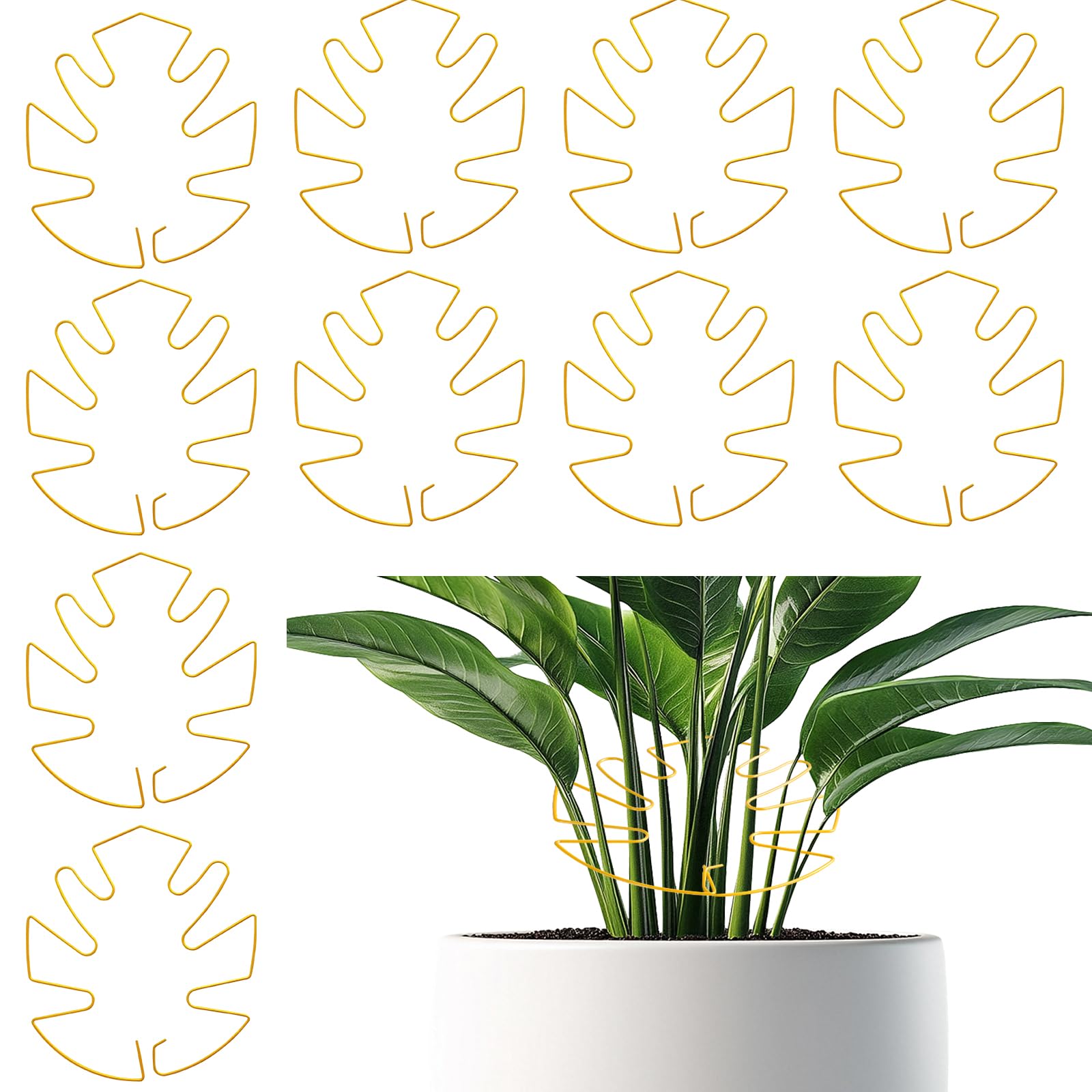 Photo 1 of 10 PCS Monstera Plant Support, Uniquely Durable Plant Stem Support, Stable Sturdy Turtle Plant Stakes, Iron Plant Stabilizer for Indoor Plants, Garden Flower Stems for Healthy Growth