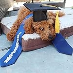 Review Image by Anabel T.