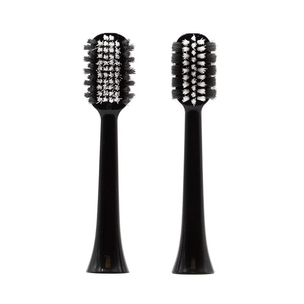 OOAK ELECTRIC TOOTHBRUSH WITH 5 BRUSHING MODES, 2 ADVANCED BRUSHES, BLACK
