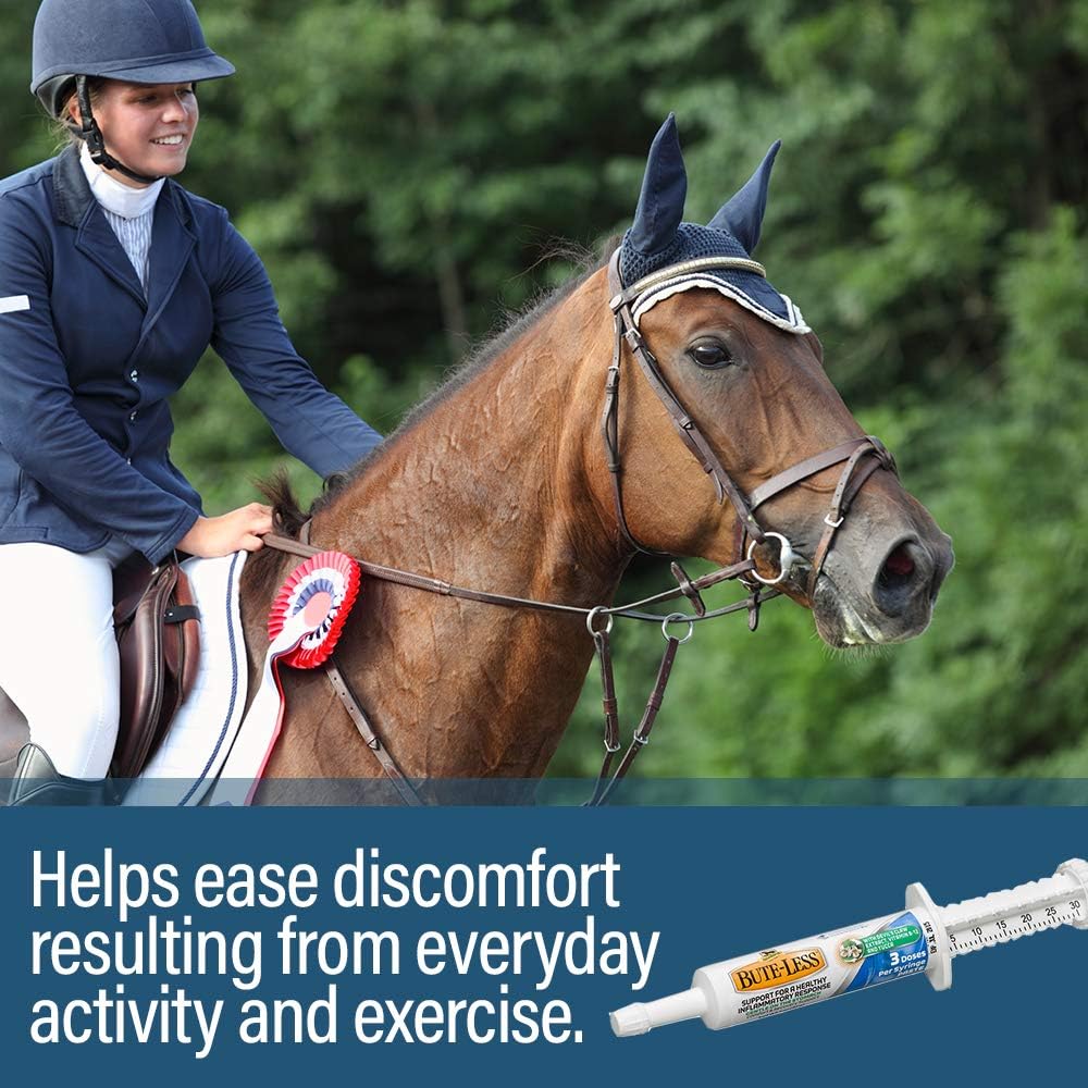 Bute-Less Comfort & Recovery Supplement Paste, 1oz Syringe / 3 Doses: Sports & Outdoors