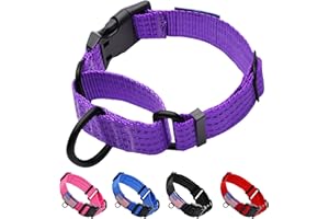 LUCKYDC Martingale Collar for Training Dogs. Adjustable Reflective Collars with Buckle-USA Flag- NO Pull-Prevents Slipping Out, for Medium Large XL Dogs. Helps with Strong pullers(L, Purple)