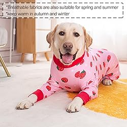 Dog Recovery Suit After Surgery Soft Long Sleeve