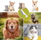 ANMOYIXIA Flea Comb for Cats Dogs Long Hair Pet Grooming White Red view 7
