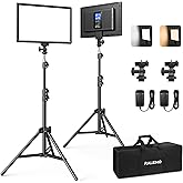 RALENO 13" Edge-Lit LED Video Light Panel Kit (2-Pack), Bi-Color 2500K-6500K Soft Studio Lights with CRI 95+, 75" Stand & 8000mAh Battery, Photography Light for Streaming/Zoom/YouTube/Makeup