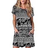 Alaster Women’s Casual Summer T Shirt Dress Loose Short Sleeve Tunic Dress with Pocket for Women