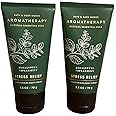 Bath and Body Works 2 Piece Pack Aromatherapy Eucalyptus Spearmint Stress Relief Travel Size ( 2.5 oz / 57 g Each) Body Cream