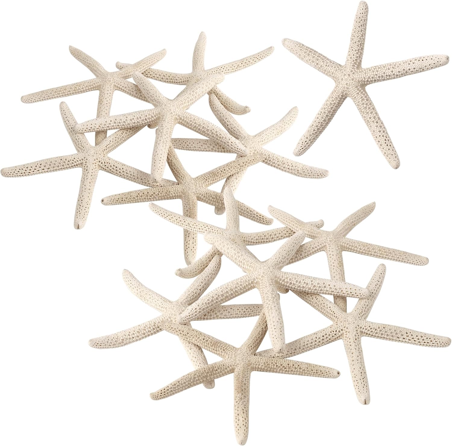 Vase Fillers - PPCLION 12 PCS Natural Finger Starfish 3-4