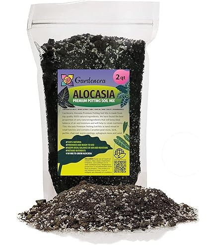 Amazon.com : Gardenera Premium Alocasia Plant Potting Mix