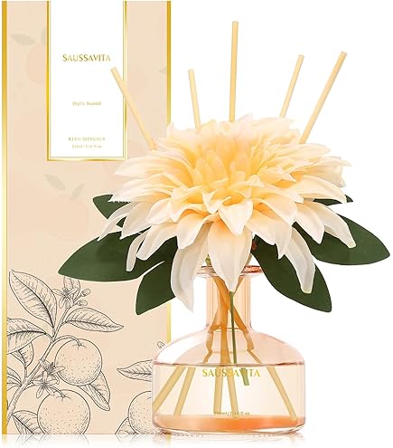 Diptyque Figuier (Fig) Reed Diffuser 6.8 oz : Amazon.ca: Health