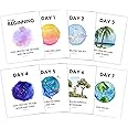 In the Beginning Posters (8"x10" Unframed) Set of 8 Prints, Genesis 7 Days of Creation Poster, Sunday School Decorations for Classroom, Children Church Posters for Kids, Christian Nursery Decor