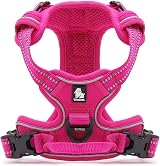 Truelove TLH5651 No-Pull Reflective Dog Harness Fuchsia Large view 4