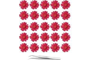 60Pcs Red Dried Daisy Pressed Flowers - YouthBro 60Pcs Real Nature Flowers Set for Resin DIY Jewelry Candle Soap Vase Making Nail Card Scrapbook Art Craft Floral Decors