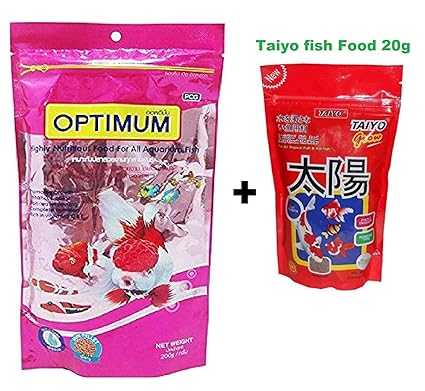 live fish food online