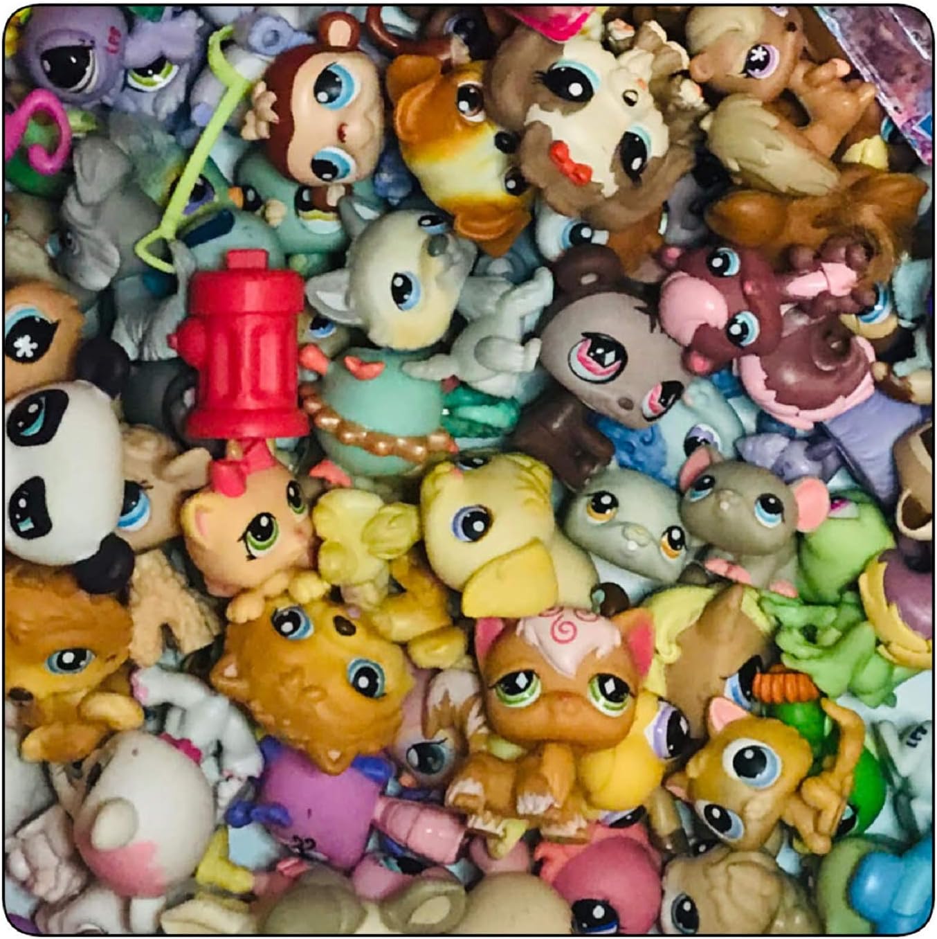 lps big lot