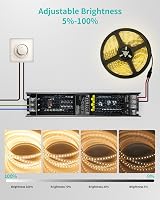 REYLAX LED Driver 12V 100W Dimmable 0/1-10V TRIAC 240V AC to 12V DC view 5