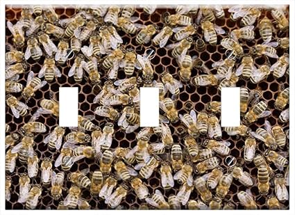 Cubierta Para Placa De Pared Peines De Abejas Colmena De