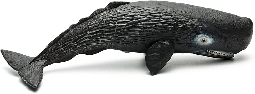 Collecta Squalo Pellegrino XL - 88914 - Figura Da Collezione Realistica In Scala, Dipinta A Mano, Dettagli Scientifici