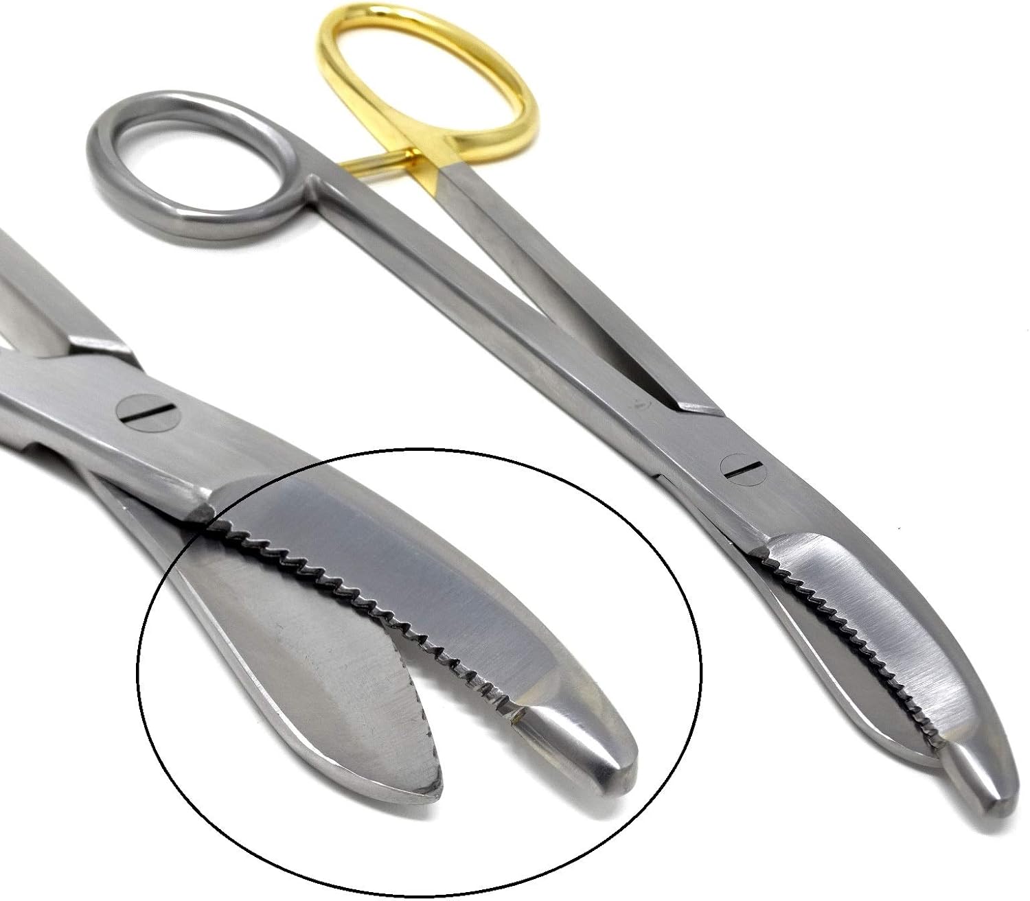 Heavy Duty German Grade Stainless Steel Plaster Cast