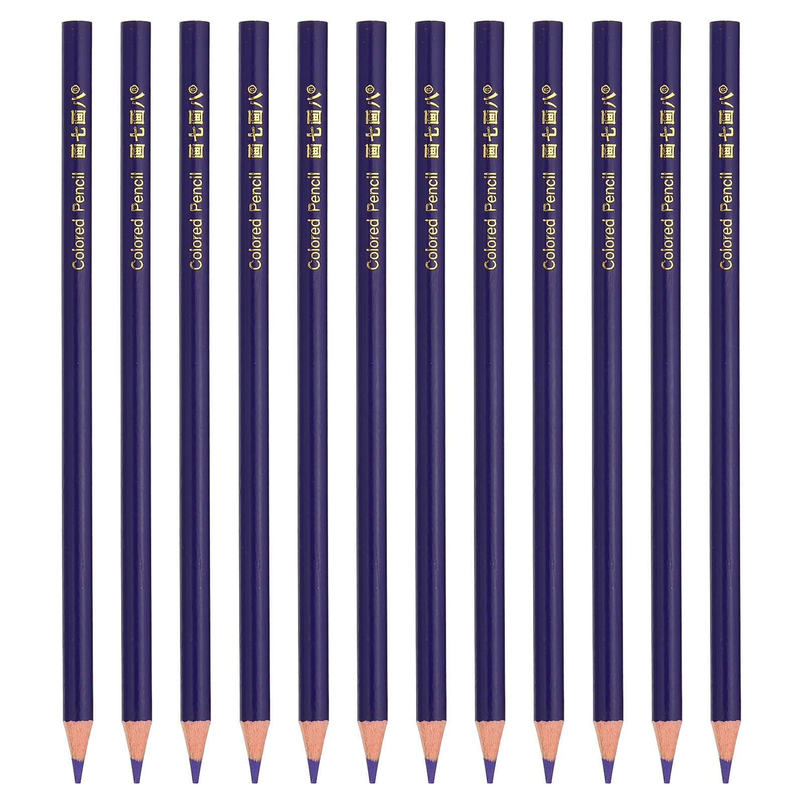 PATIKIL Blue Lotus Colored Pencils Set,12 Pcs Oil Color Pencils Wooden Coloring Drawing Pencil for Artists Art Painting