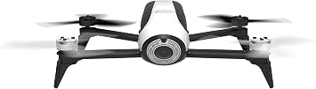 bebop parrot