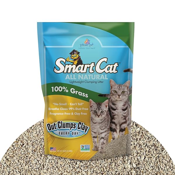 SMARTCAT ALL NATURAL CLUMPING CAT LITTER, 10 POUND (160OZ 1 PACK) – ALTERNATIVE TO CLAY AND PELLET LITTER – CHEMICAL AND 99% DUST FREE – UNSCENTED AND LIGHTWEIGHT