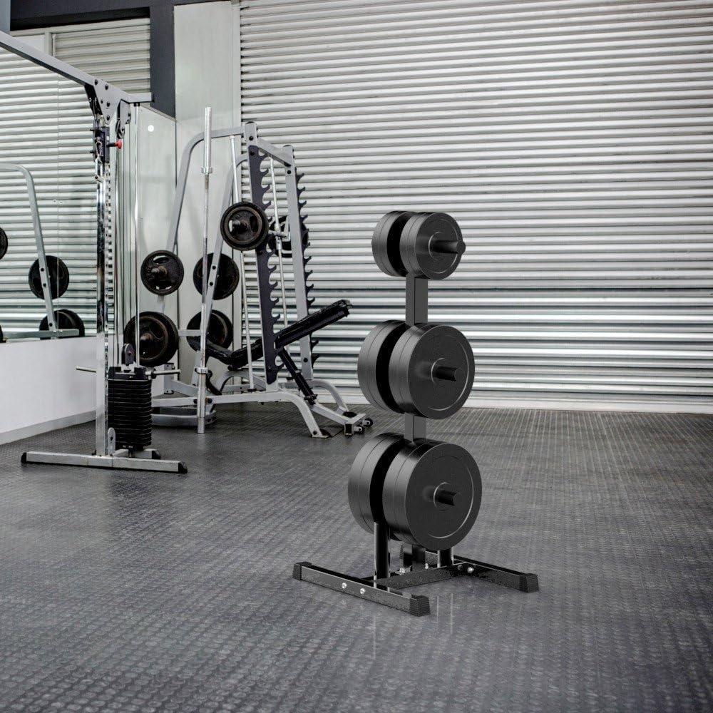 Topeakmart Tree Olympic Plate Rack Weight Bumper Plate Holder with 2 Bar Holders Black : Sports & Outdoors