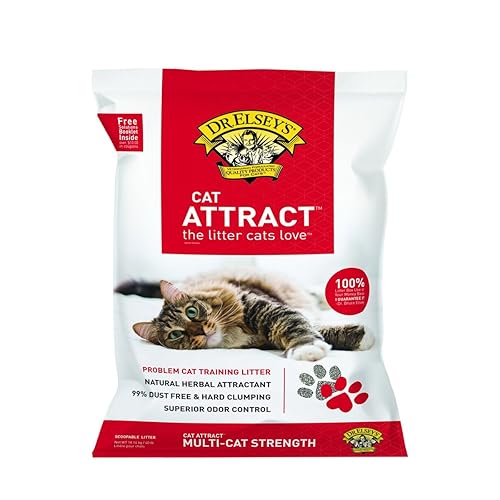 Best Cat Litter for Odor Control Top 6 Picks & Reviews In 2020
