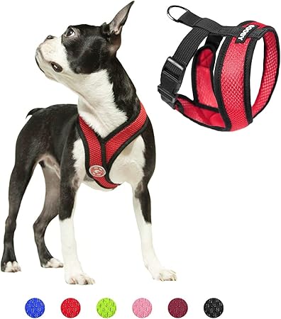 harness for small dogs amazon
