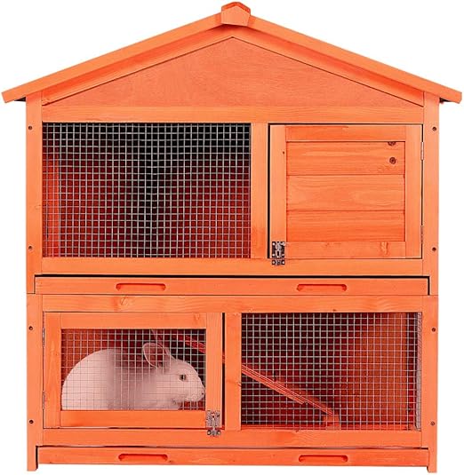 outside rabbit house