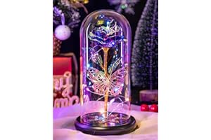 PUSUNY Christmas Rose Gifts for Women Galaxy Glass Rose Flower Gift Forever Eternal Crystal Light Up Roses in Glass Dome with Butterfly Birthday Xmas Gifts for Women Mom Wife Grandma Sister Valentines Purple