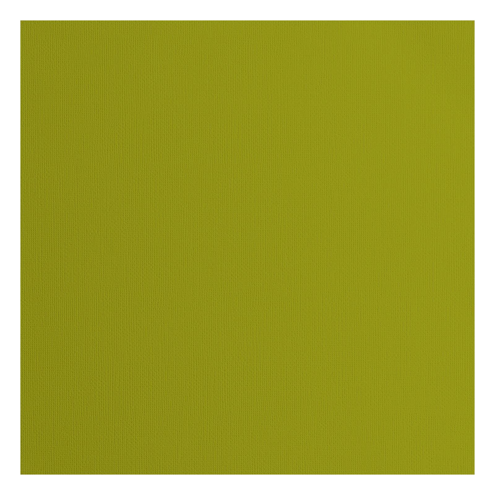 Florence Cardstock Textured - Coloured Card Making Supplies 12 x 12 inch - Green - 20 Sheets - Coloured Paper for Scrapbooking, Card Making, Die Cutting and Paper Crafts - 216 GSM - Fern