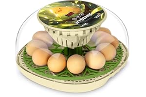 WYD2ANG Smart Chicken Incubators for Hatching Eggs with Automatic Turner Small Poultry Duck Quail 12 Egg Incubator Temperature Control Display Hatcher Machine (SylvanJoy, ℉)