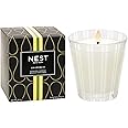 NEST New York Scented Classic Candle, Grapefruit - 8.1 oz - Up to 60-Hour Burn Time - Reusable Glass Vessel