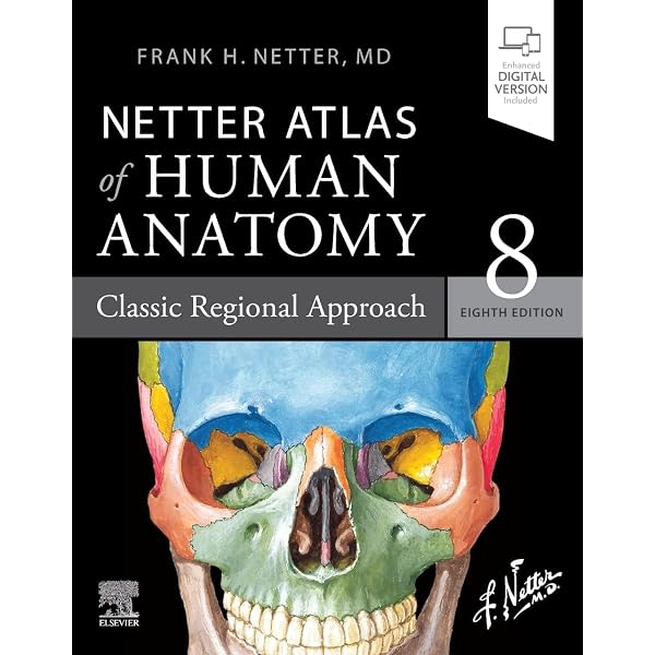 Color Atlas of Human Anatomy: Vol. 1: Locomotor System 7th Edition