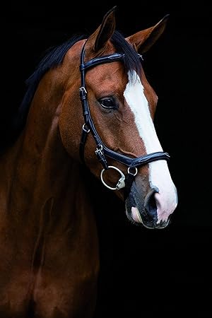 Horseware Rambo Micklem Deluxe Competition Eng Lthr. - Dark Havana