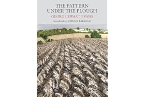 The Pattern Under the Plough